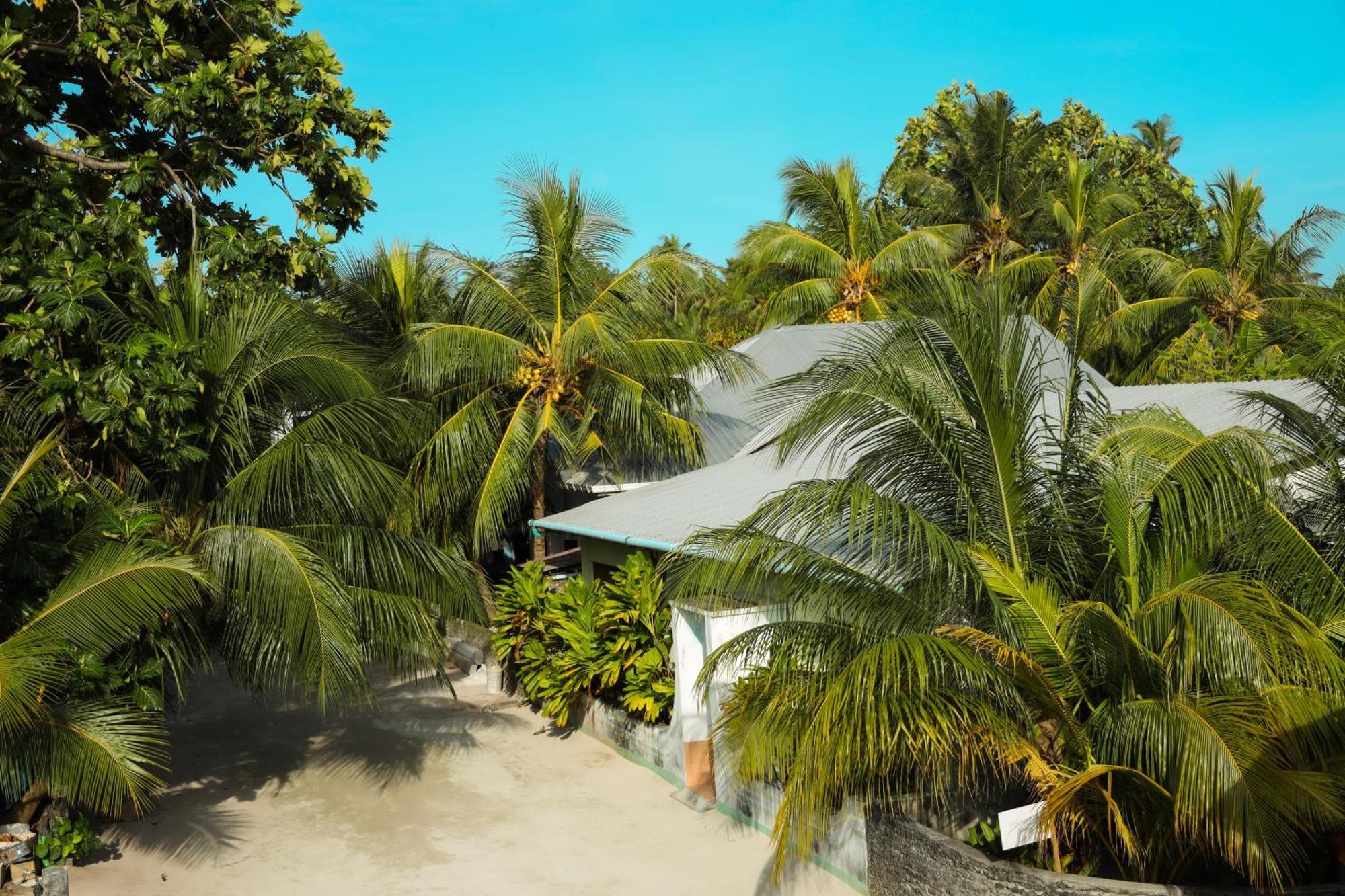 Shifa Lodge Maldives Feridhoo エクステリア 写真